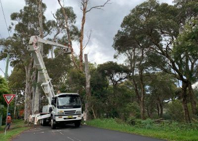 Tree Removal Victoria- Summit Services