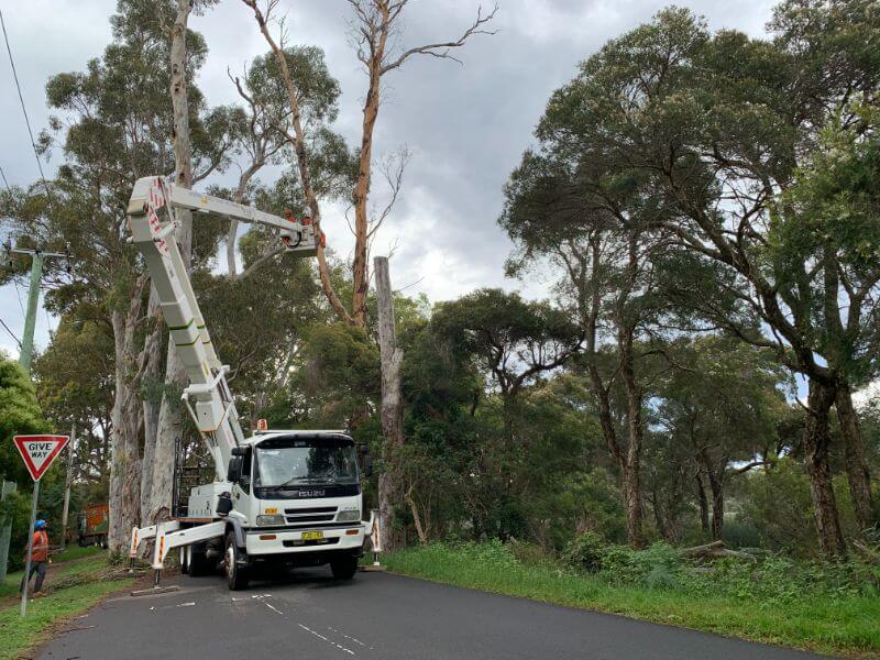 Tree Removals Riverina- Summit Services-Tree Removals: Safely Removing Trees from Your Property