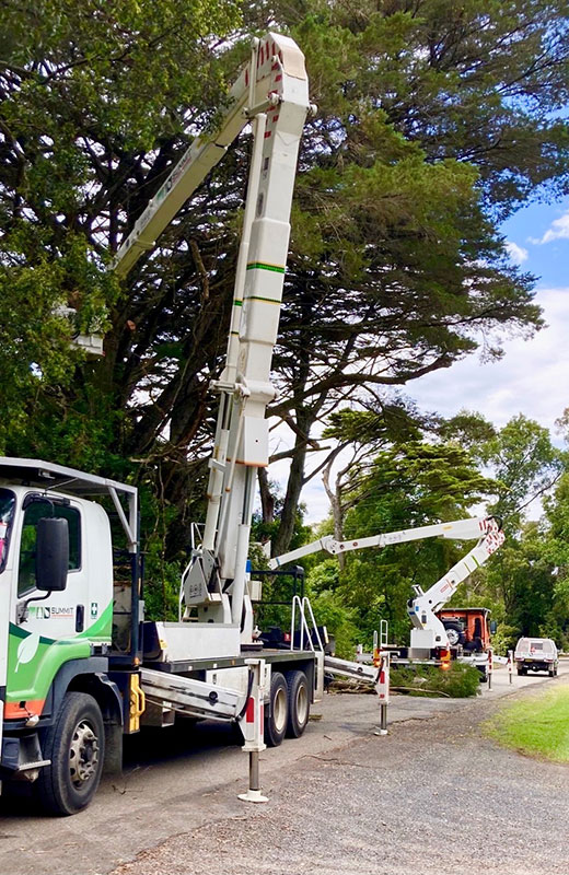 Tree Removals Wagga Wagga Summit Services